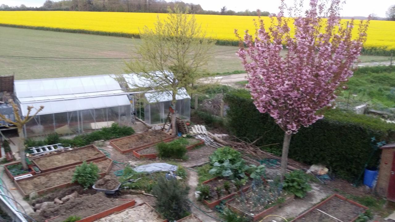Les Nympheas, Appart Au Calme Et Grand Jardin A 15 Min De Disneyland, Crecy-la-Chapelle Ngoại thất bức ảnh
